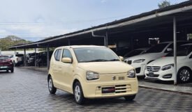 Suzuki Alto 2018