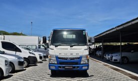 Mitsubishi Fuso 2017