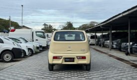 Suzuki Alto 2018