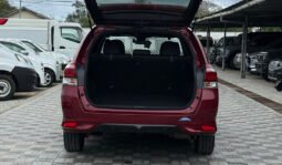 
Toyota Corolla Fielder WXB 2018 full									