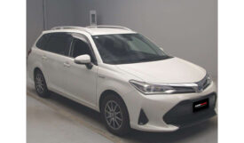 Toyota Corolla Fielder 2019