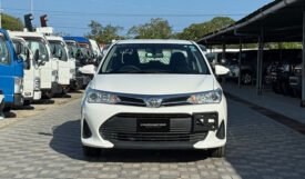 Toyota Corolla Axio 2019