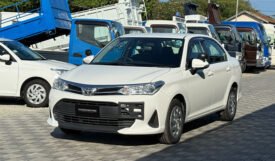 Toyota Corolla Axio 2019