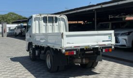 Nissan Atlas NT450 2018