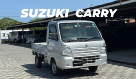 Suzuki Carry 2019