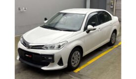 Toyota Corolla Axio 2019