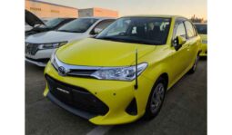 Toyota Corolla Axio 2019 full