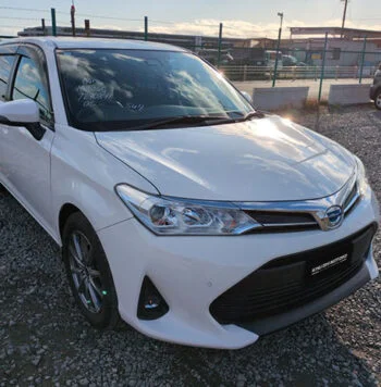 Toyota Corolla Fielder 2020