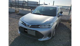 
										Toyota Corolla Axio 2019 full									