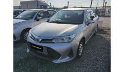 
Toyota Corolla Axio 2019 full									