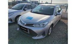 
Toyota Corolla Axio 2019 full									