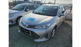 Toyota Corolla Axio 2019