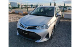 Toyota Corolla Axio 2019