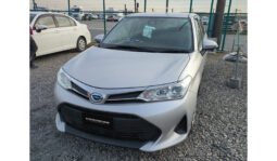 
Toyota Corolla Fielder 2020 full									
