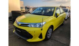 Toyota Corolla Axio 2019 full
