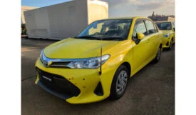 Toyota Corolla Axio 2019