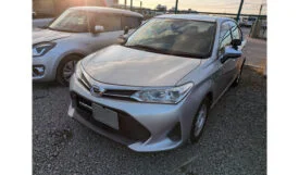 Toyota Corolla Axio 2019