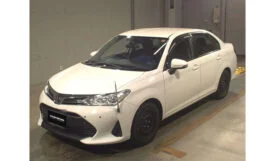 Toyota Corolla Axio 2019