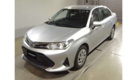 Toyota Corolla Axio 2019