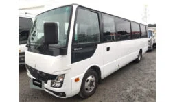 Mitsubishi Rosa 2020