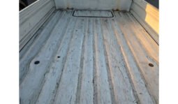 
Suzuki Carry Truck 2019 full									