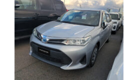 Toyota Corolla Fielder 2019