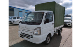 Suzuki Carry Truck 2019